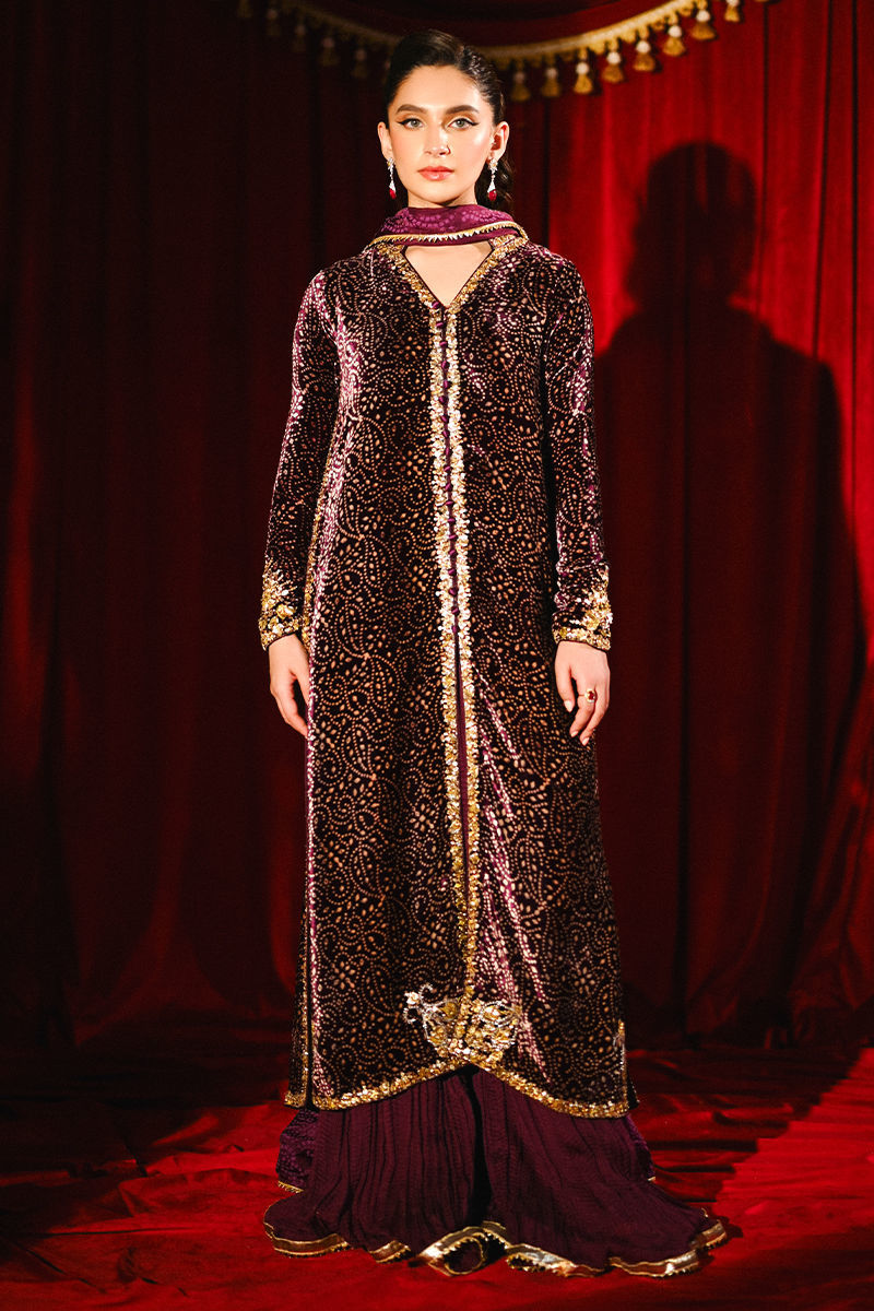 Ansab Jahangir|So Hot - Luxury Velvets '25 - Sabeen