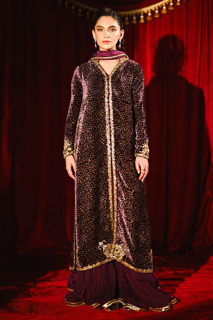 Ansab Jahangir|So Hot - Luxury Velvets '25 - Sabeen