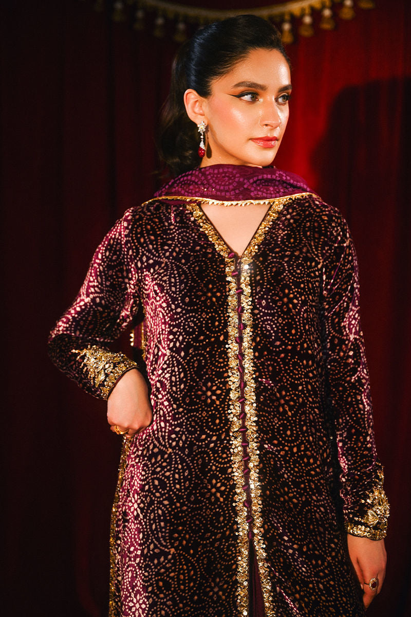 Ansab Jahangir|So Hot - Luxury Velvets '25 - Sabeen