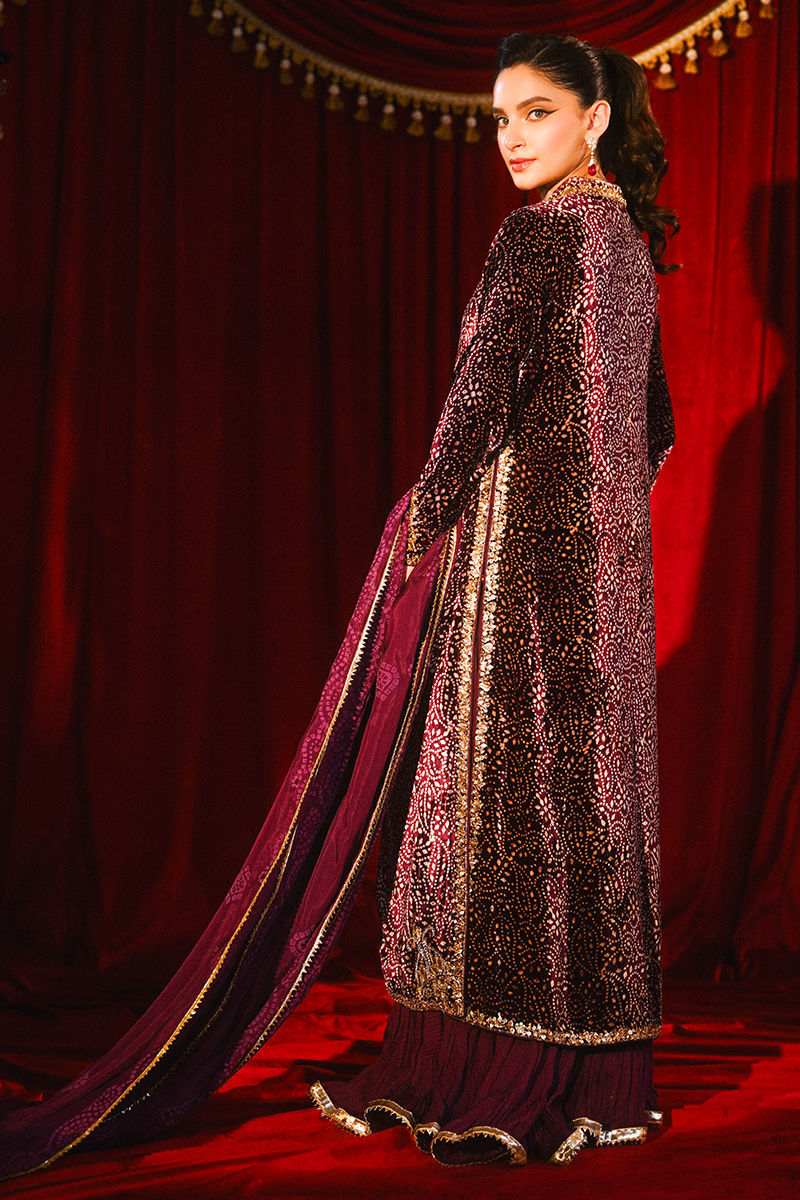 Ansab Jahangir|So Hot - Luxury Velvets '25 - Sabeen