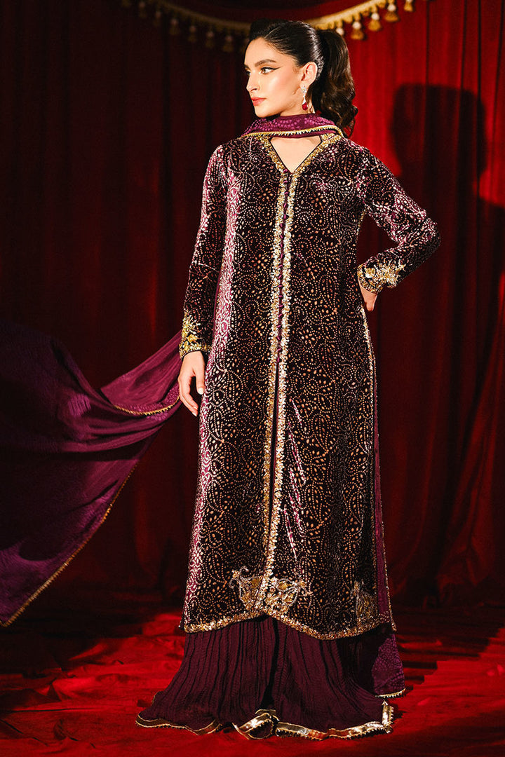 Ansab Jahangir|So Hot - Luxury Velvets '25 - Sabeen