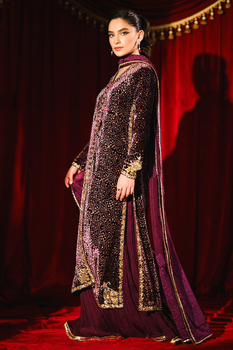 Ansab Jahangir|So Hot - Luxury Velvets '25 - Sabeen