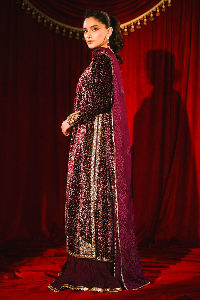 Ansab Jahangir|So Hot - Luxury Velvets '25 - Sabeen