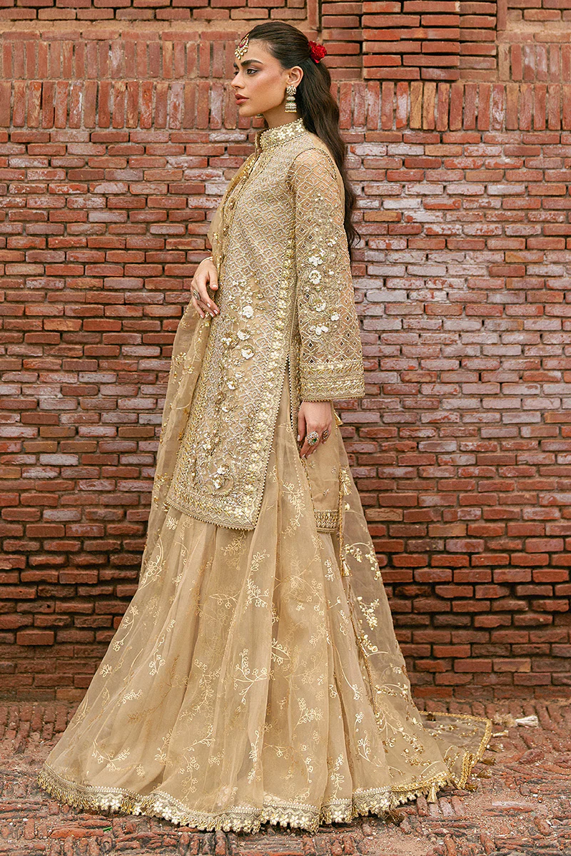 Mohsin Naveed Ranjha| Zarlish Festive '25 - Roshni