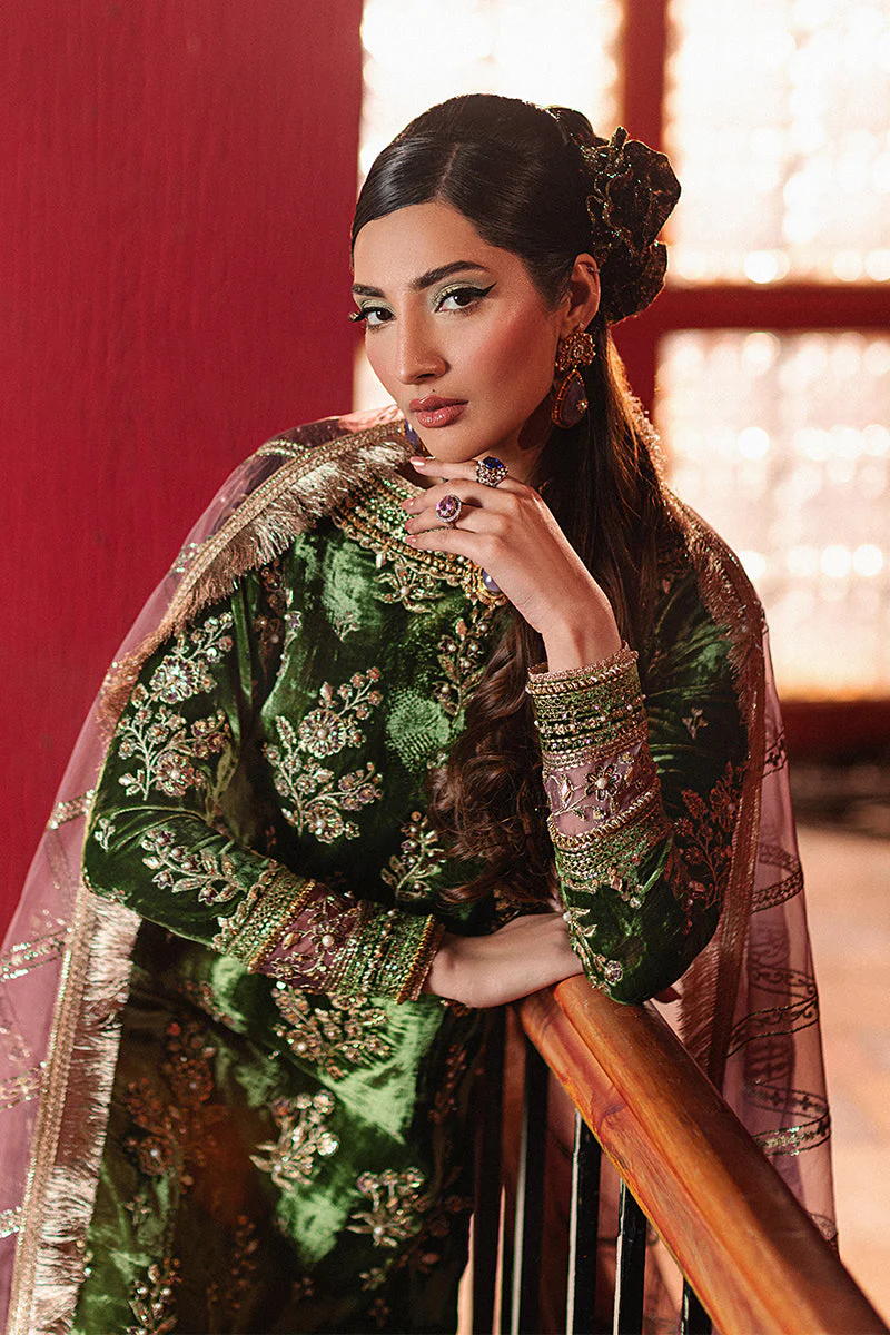 Mohsin Naveed |Ranjha Roxy Cinema Velvet Edit FW 24/25 - Beena