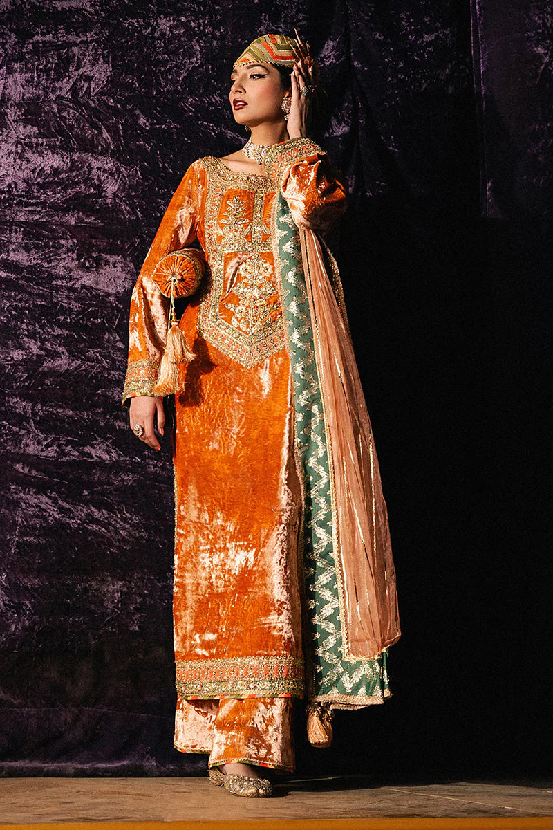 Mohsin Naveed Ranjha |Roxy Cinema Velvet Edit FW 24/25 - Sitara