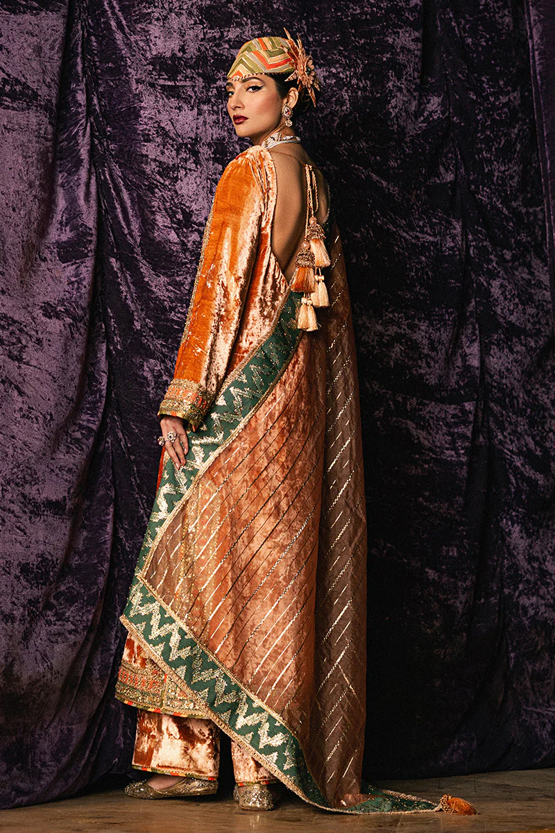 Mohsin Naveed Ranjha |Roxy Cinema Velvet Edit FW 24/25 - Sitara