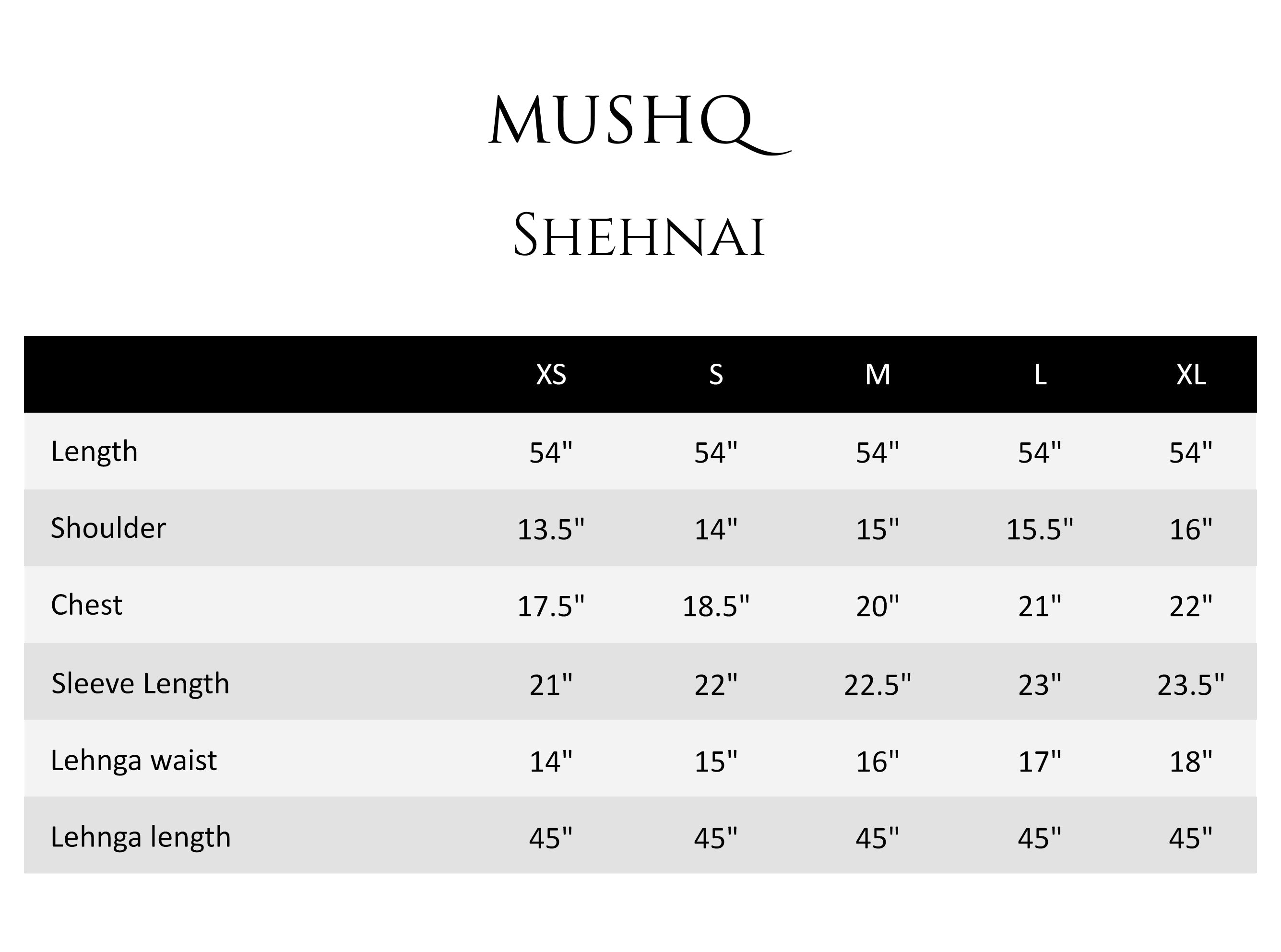 Mushq|Shaam Shaandar'25- SHEHNAI