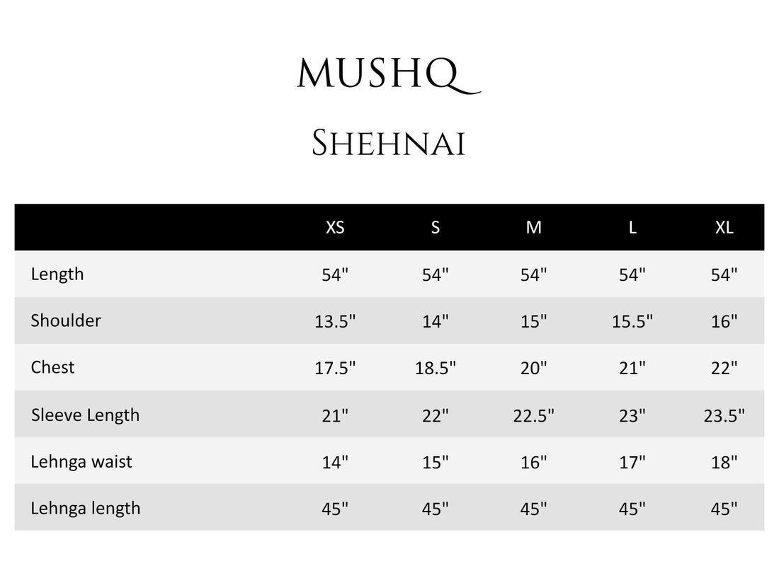 Mushq|Shaam Shaandar'25- SHEHNAI