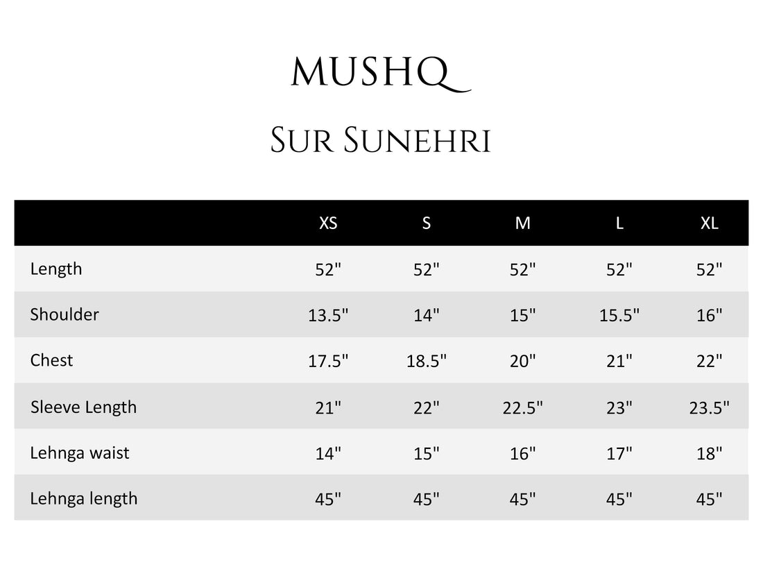 Mushq|Shaam Shandaar'25- SUR SHANDAAR