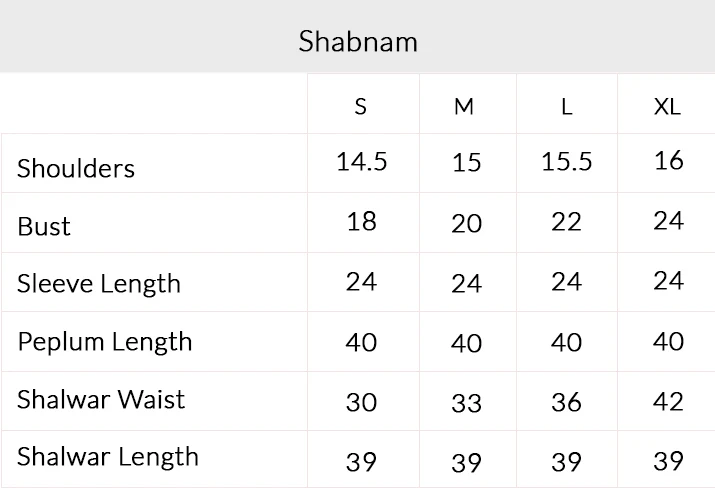 Mohsin Naveed Ranjha |Roxy Cinema Velvet Edit FW 24/25 - Shabnam