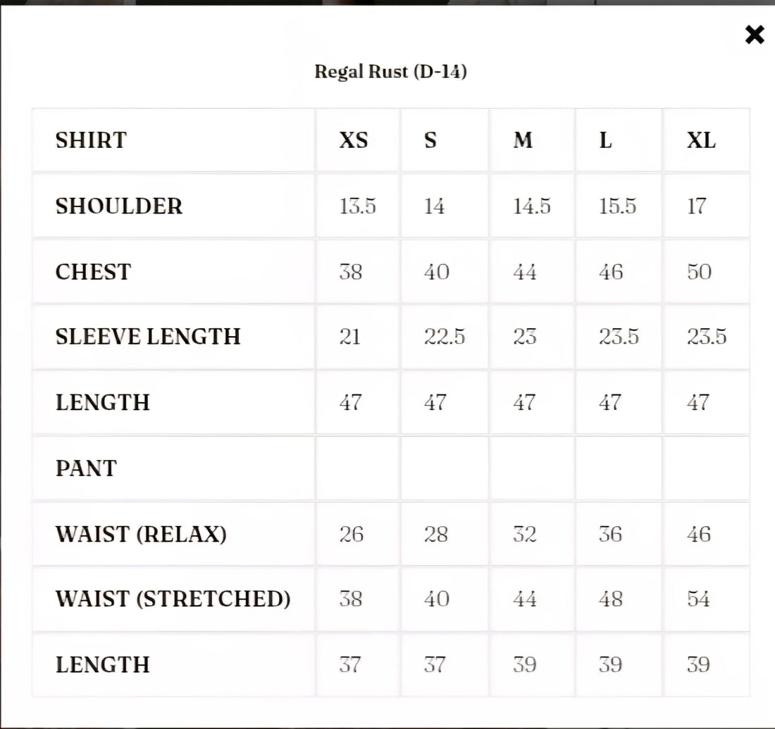 Ammara Khan| Solenne '25 - Regal Rust (D-14)